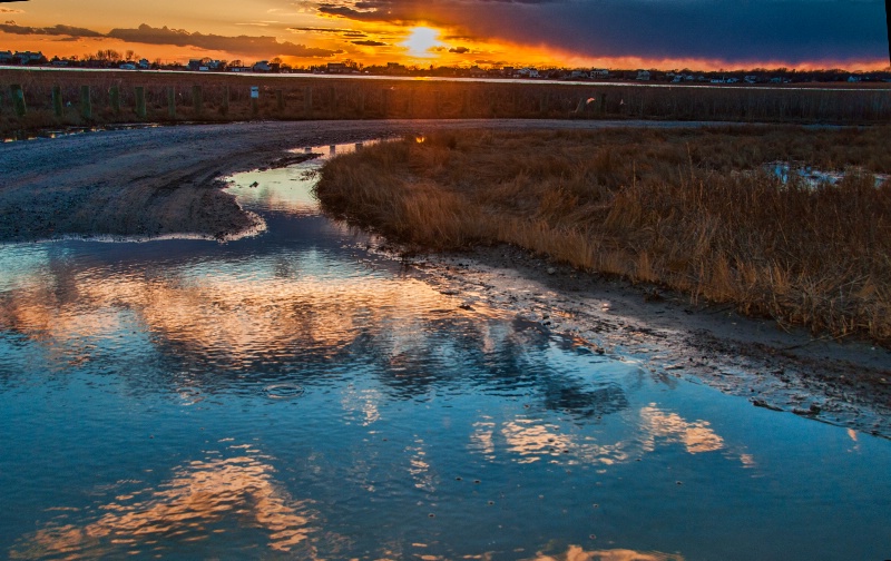 Wetland Sunset