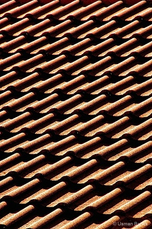Waves on the Roof