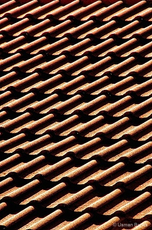 Waves on the Roof