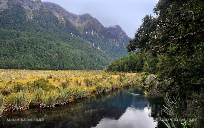 nz countryside