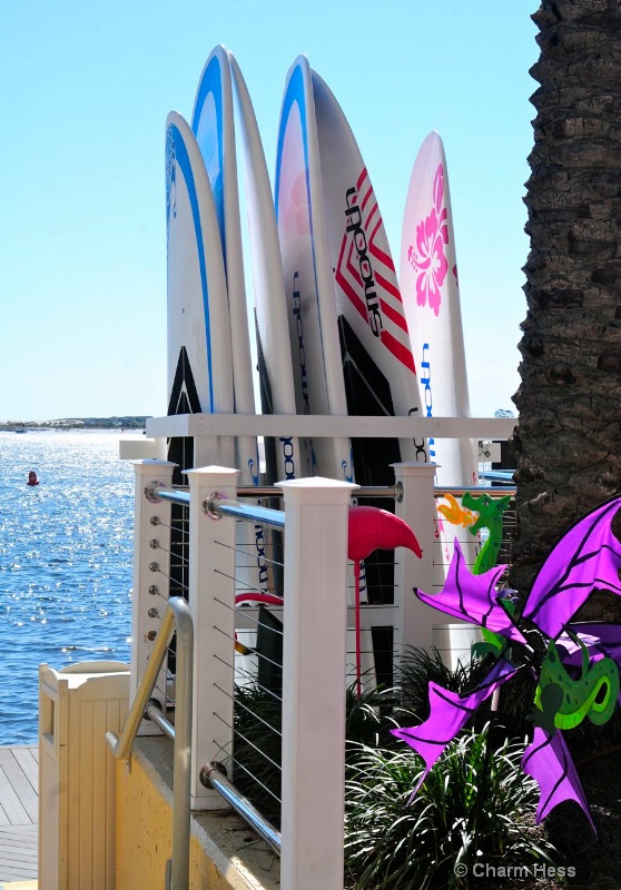 Destin Florida Photos - ID: 13783570 © CHARM HESS