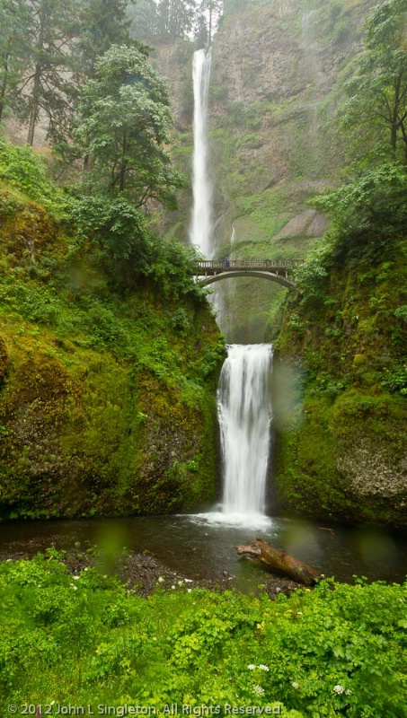 Multmomah Falls, Columbia River Gorge, Oregon - ID: 13784228 © John Singleton