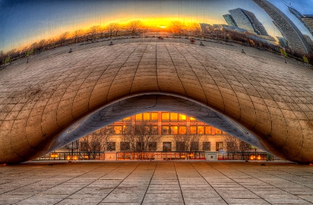 Bean Sunrise