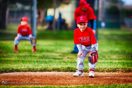 Baseball Ready