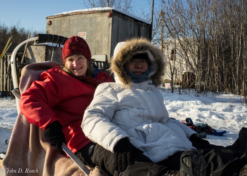 An arctic sled ride #1 - ID: 13784773 © John D. Roach