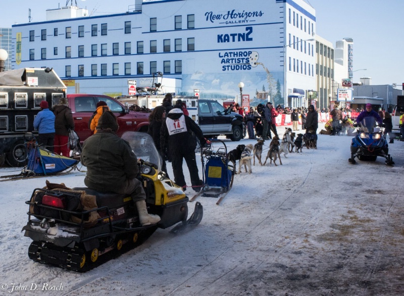 Dog Mushing Racers