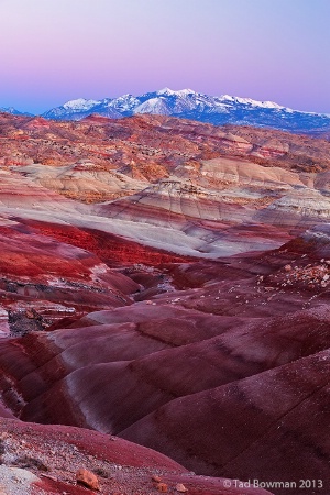 Alien Landscape