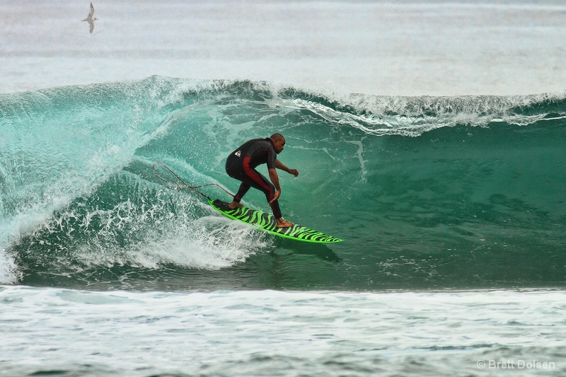 Indigenous Surfer