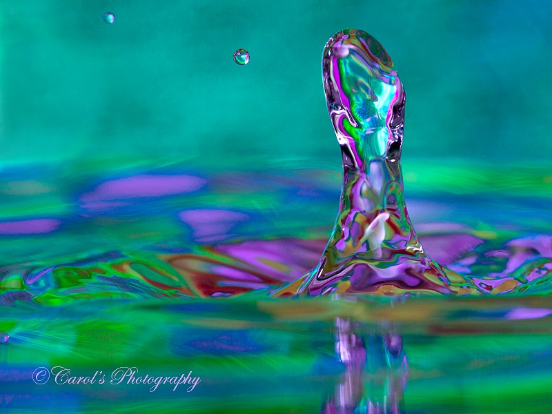 Fluid Motion