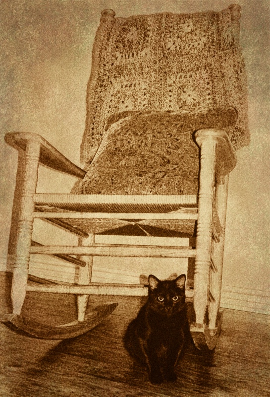 Murphy and the chair