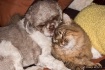 True Love