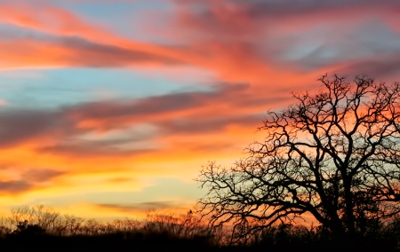 Texas Sky