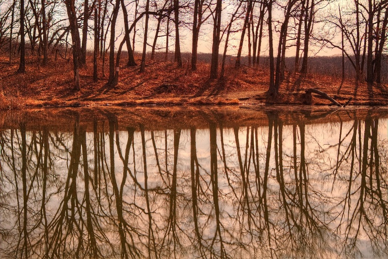 Maple Lake Reflections