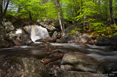 Tarp Falls