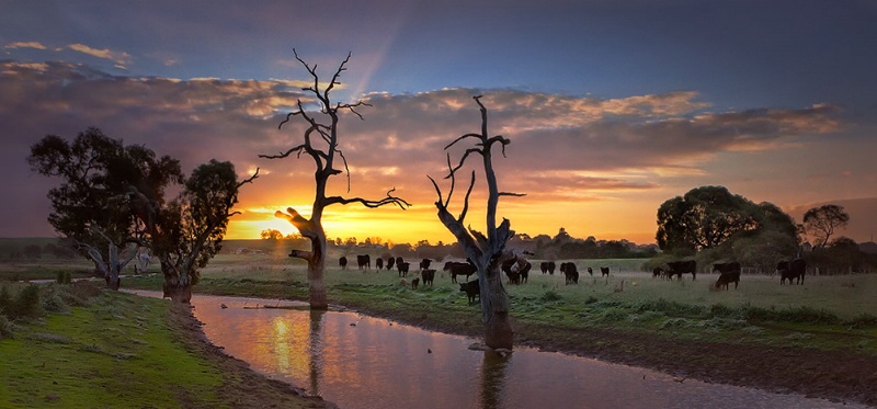 Casterton Creek