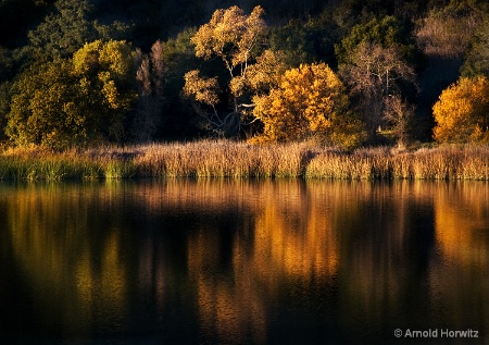 Painted Water