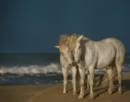 Romance By the Sea