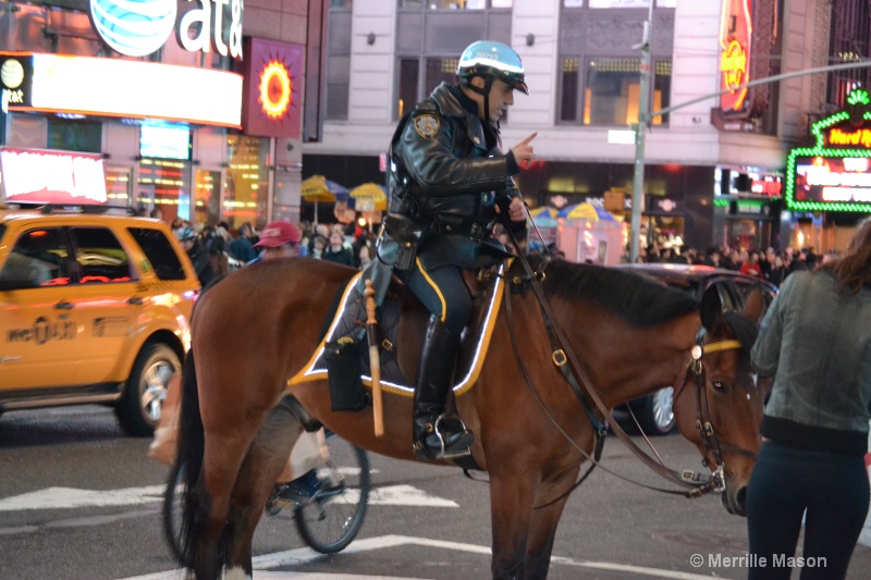 new york city mounted police officer