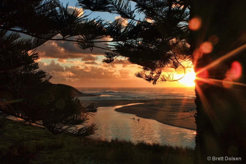 Sunrise Under the Norfolk Island Pines