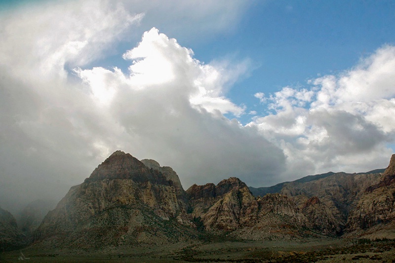 Stallion In The Clouds