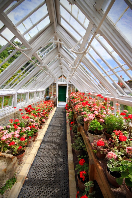 Heligan Botanical gardens  greenhouse