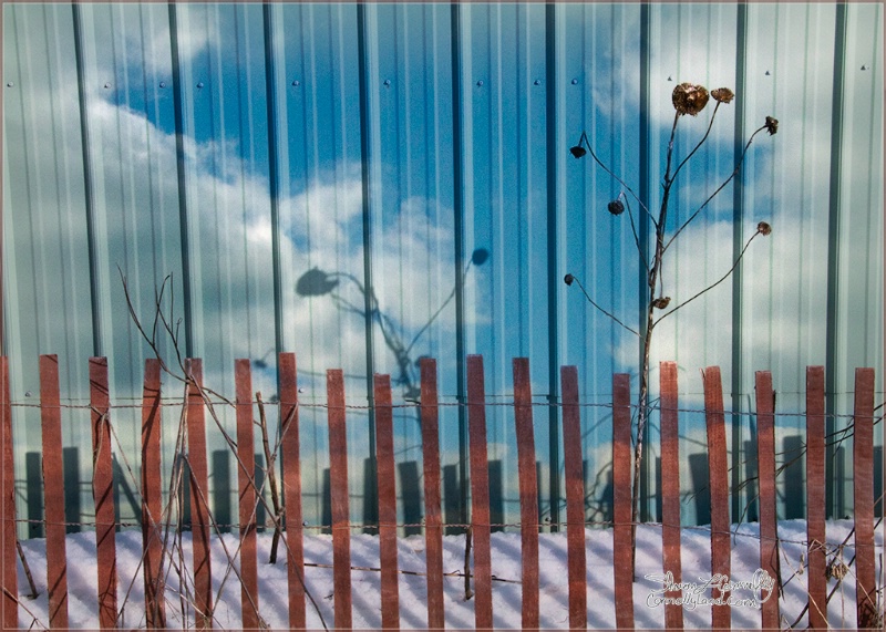 Sky On The Barn