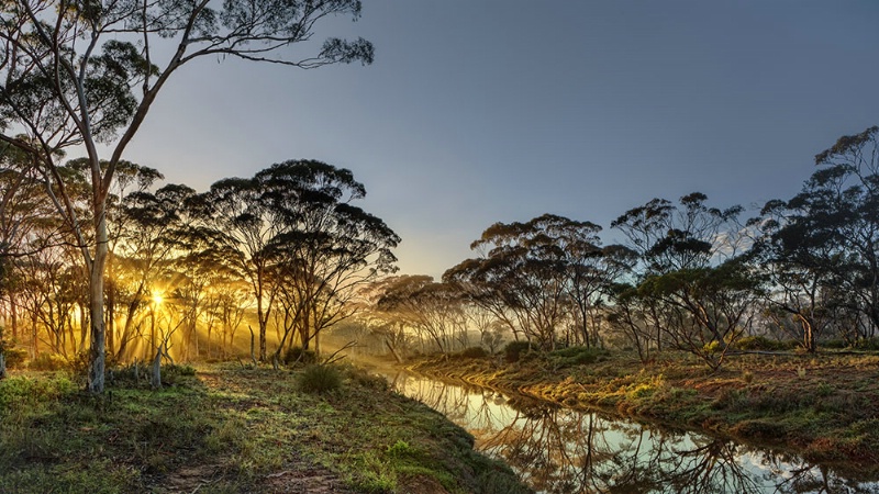 Cordingup Creek