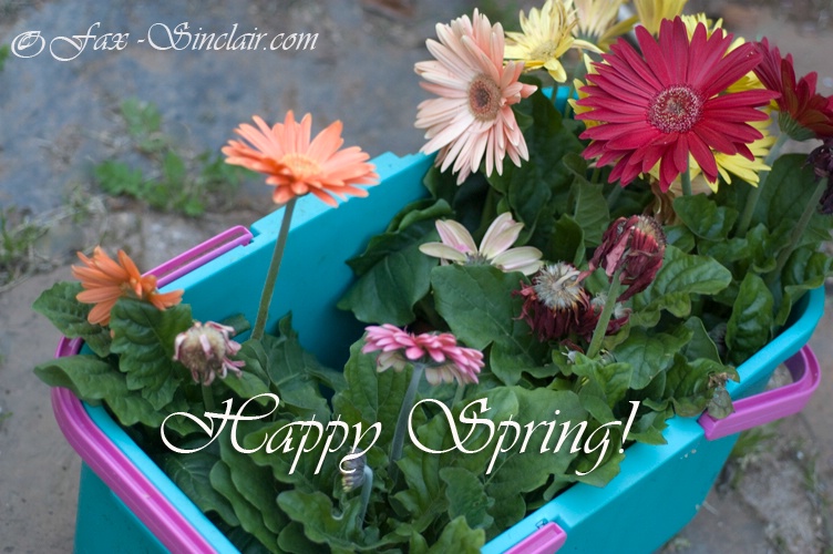 Happy Spring - ID: 13796347 © Fax Sinclair