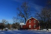 Winter @ Betsy Wi...