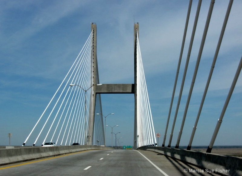 Savannah Bridge