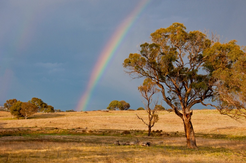 Spring Rainbow.