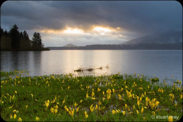 Quinault Lake sunset - ID: 13801001 © Stuart May