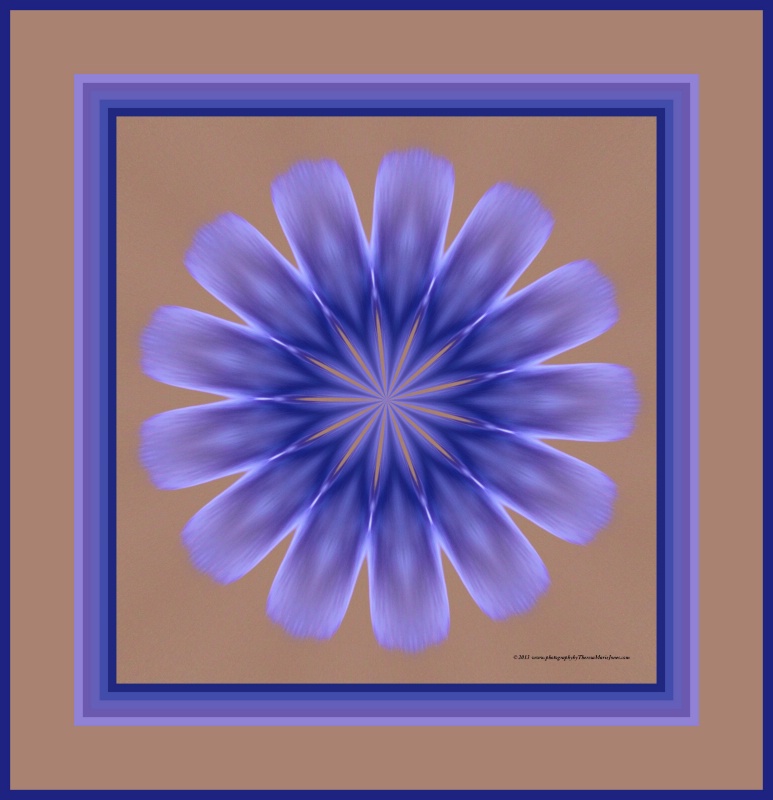 Blue Flower - ID: 13801067 © Theresa Marie Jones