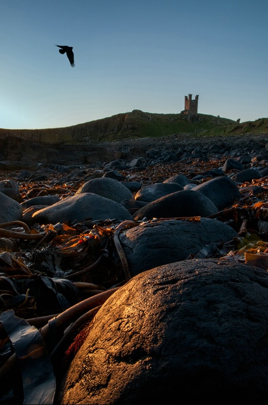 Dunstanburgh Dawn