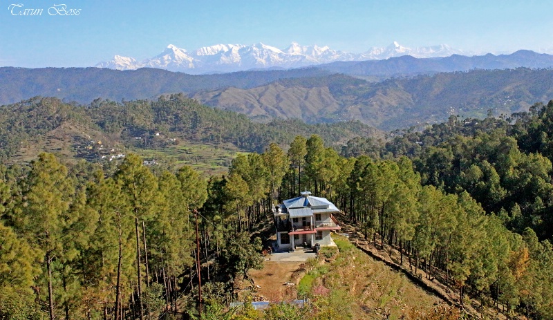 View of Himalayas from Ranikhet.