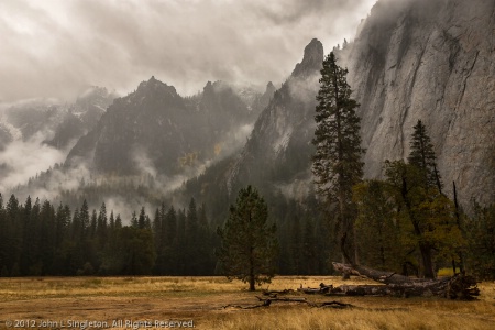 Rising from the Mist