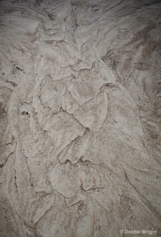 Patterns in the Sand - ID: 13802176 © deb Wright