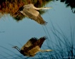 Water a "NATU...