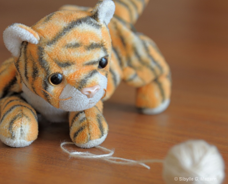 toy stories : cats like to play - ID: 13803294 © Sibylle G. Mattern