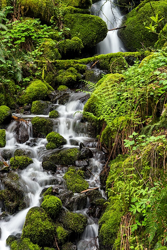 Columbia River Gorge