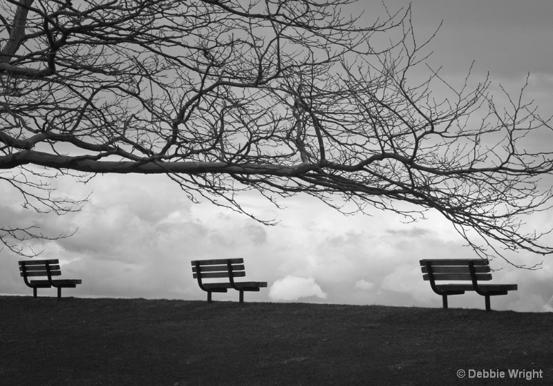 Benches - ID: 13807669 © deb Wright