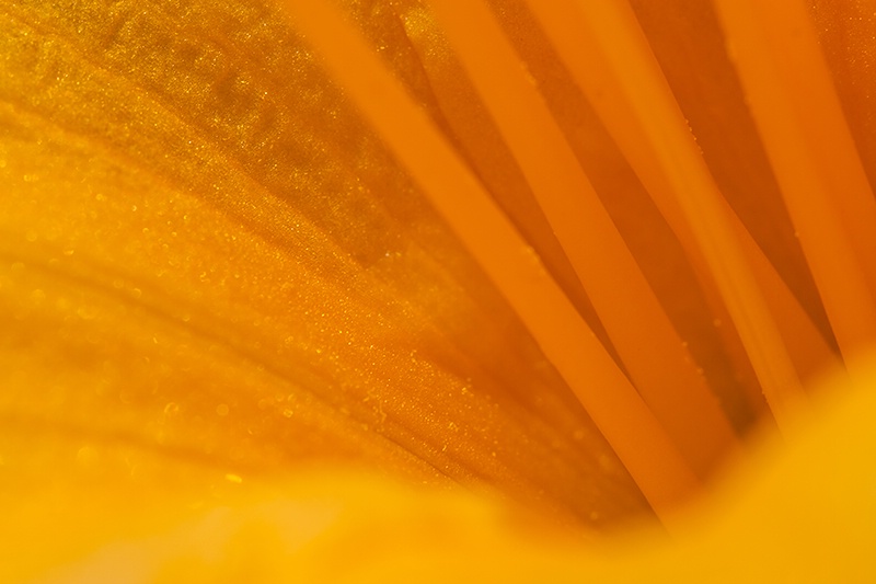 img5