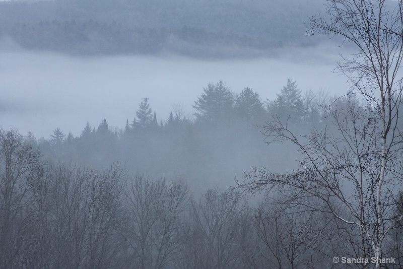 Blue morning fog - ID: 13811538 © Sandra M. Shenk