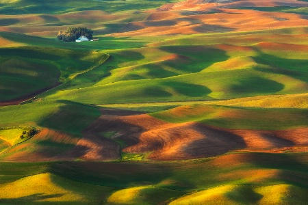 Palouse Hills