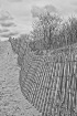 Beach Path