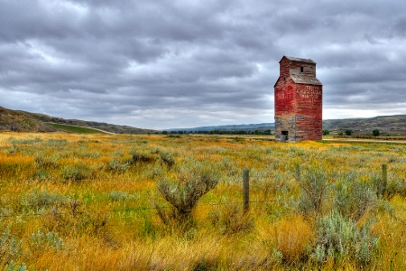 "Lone Prairie Sentinal"