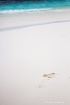 Footstep