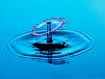 Splash 1