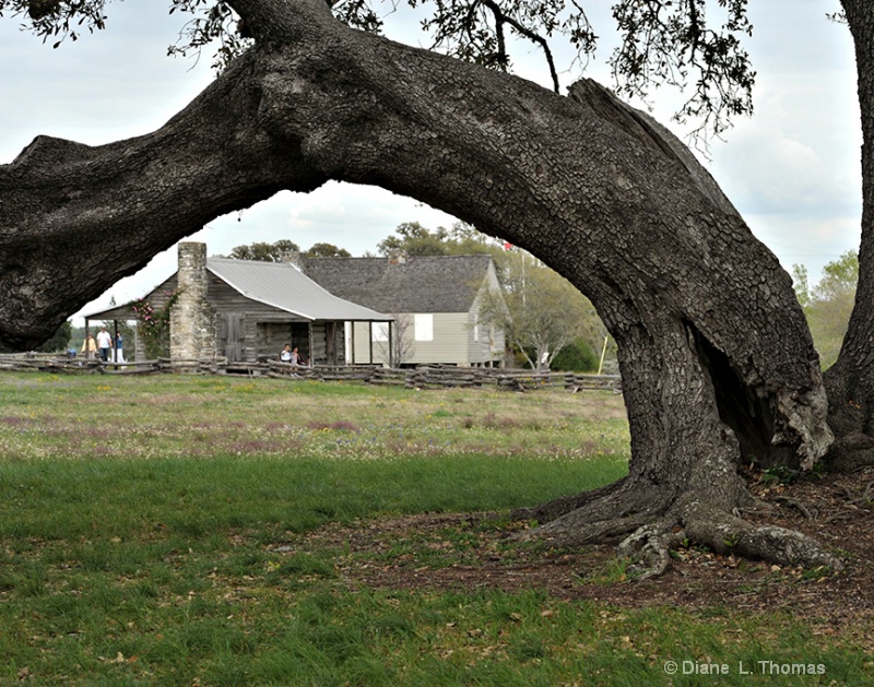 The Old Baylor College 