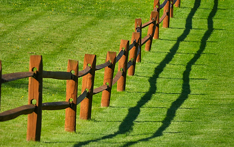 Spring Fence